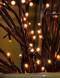Lighted willow branch