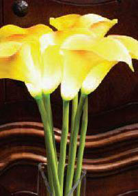 Battery Operated Yellow Calla Lily - 8 Stems - 8 LED Lights