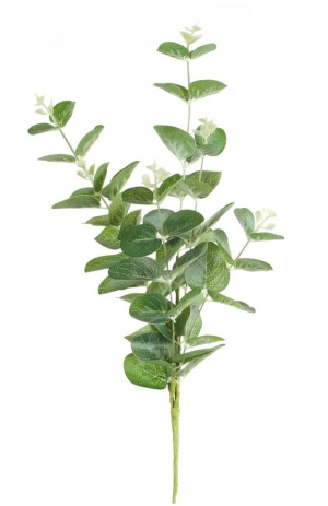 21 Inch Eucalyptus Spray