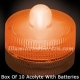 Orange Acolyte Submersible #08020 FloraLyte Pack of 10