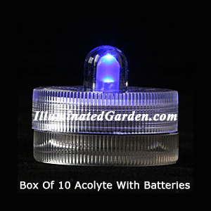 Blue Acolyte Submersible #08320 FloraLyte Pack of 10