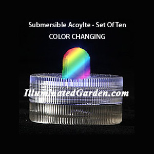 RGB Acolyte Submersible #08820 FloraLyte Pack of 10