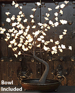 Lighted bonsai tree discount