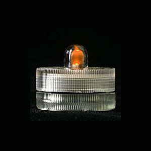 Orange Acolyte Submersible #08020 FloraLyte Pack of 10