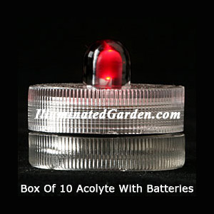 Red Acolyte Submersible #08220 FloraLyte Pack of 10