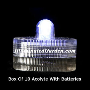 White Acolyte Submersible #08520 FloraLyte Pack of 10